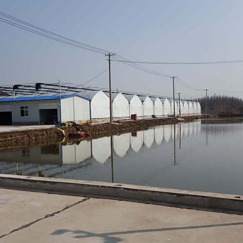 生態(tài)種養