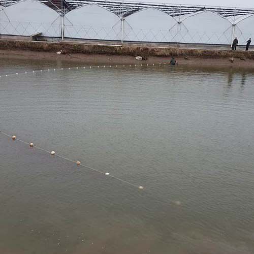 生態(tài)種養