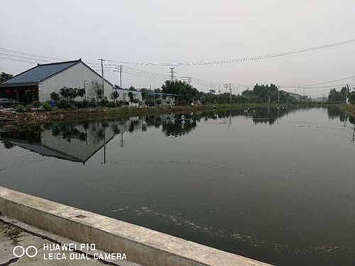 生態(tài)種養