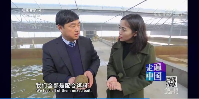 更多產(chǎn)品