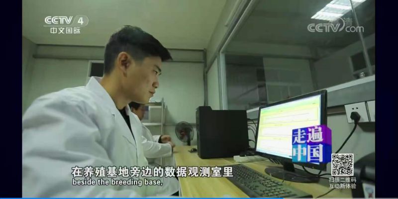更多產(chǎn)品