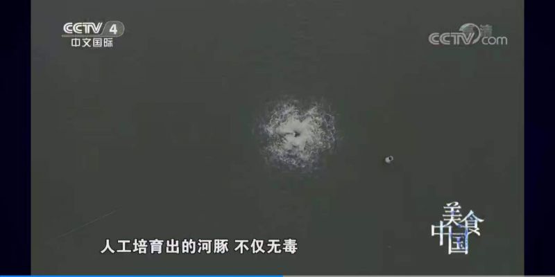 更多產(chǎn)品