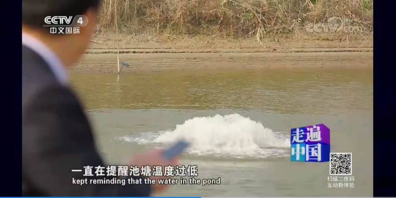 更多產(chǎn)品