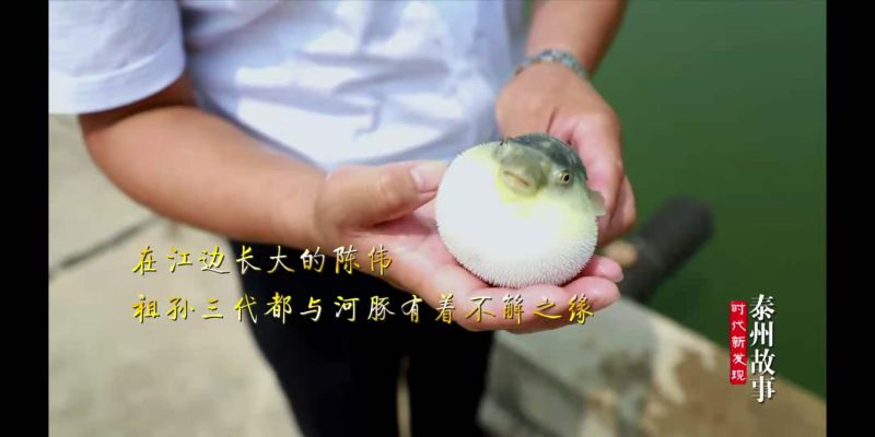 更多產(chǎn)品