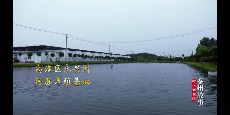 更多產(chǎn)品