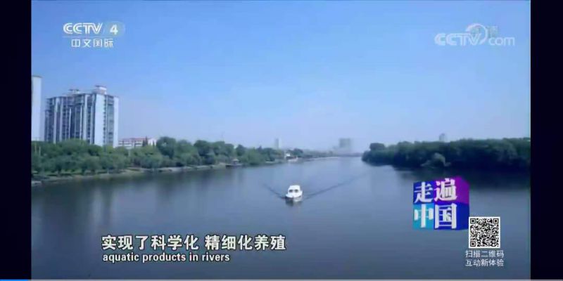 更多產(chǎn)品