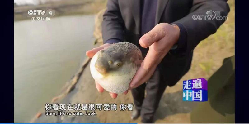 更多產(chǎn)品