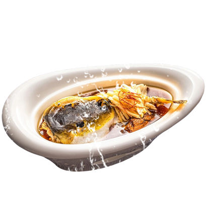 無毒河豚怎么養殖